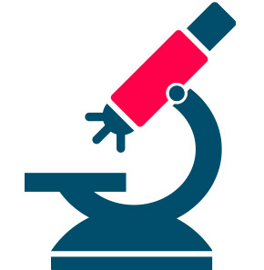 Innovazione costante